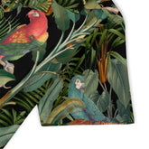 paradise jungle bird